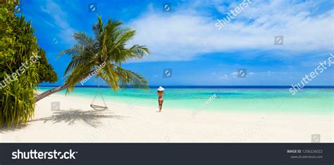 Bikini Model On Palm Beach Stock Photo Shutterstock
