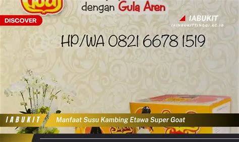 Intip 7 Manfaat Susu Kambing Etawa Super Goat Yang Jarang Diketahui