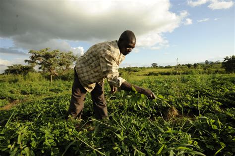 agriculture finance invest  farmers worldwide globalgiving