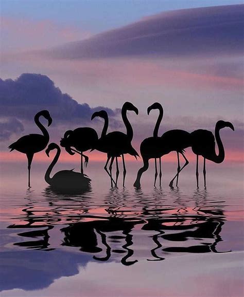 Обои Для Телефона Фламинго - 68 фото