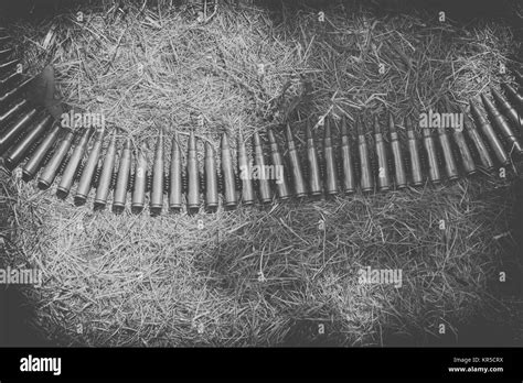 ammo to machine guns on grass, black and white Stock Photo - Alamy