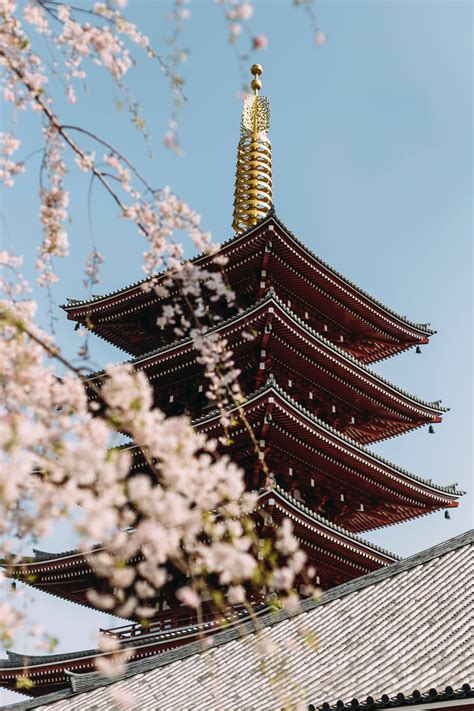 Top 10 Japan | Solo Travel Talk Podcast