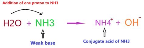 Nh3 Base Or Acid