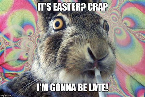 Bipolar Easter Bunny Imgflip