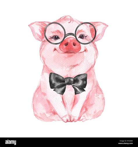 Funny Pig Isolated On White Stock Photo Alamy