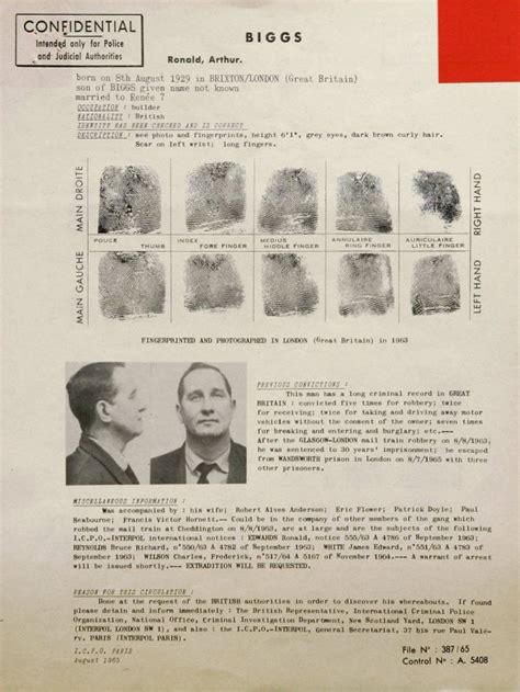 Del Robo Del Siglo A Cantante De Sex Pistols Condenado Fanzine No Mess No Fuss Just Pure