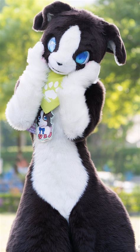 Pornhub Gay Furry Cosplay Lawpcilike