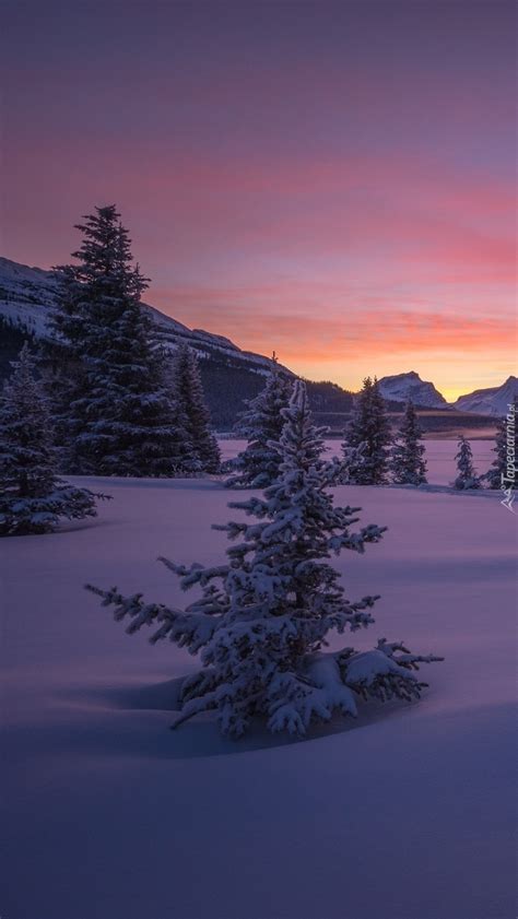 Zamarzni Te Jezioro Bow Lake Tapeta Na Telefon