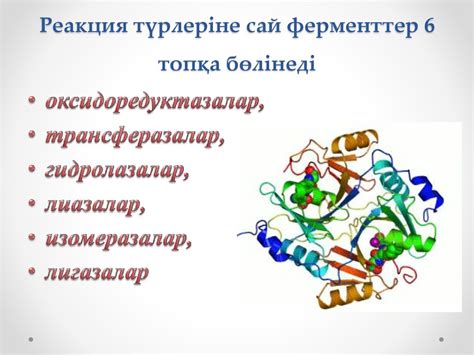 Ферменттер. Зерттелу тарихы - презентация онлайн