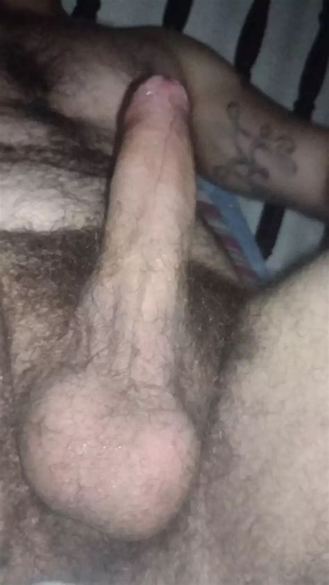 Close Up Hairy Cock And Balls Brazilian Gay Amateur Amateur Porn XHamster