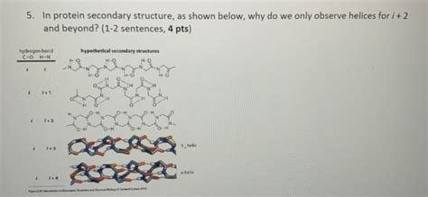 Solved 5. In protein secondary structure, as shown below, | Chegg.com