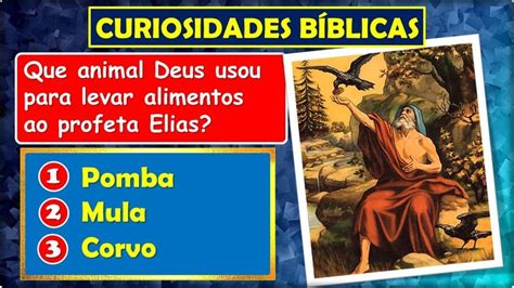 Charadas Bíblicas Curiosidades Bíblicas Curiosidades biblicas