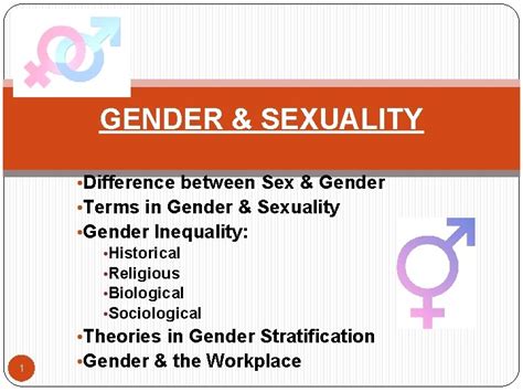Gender Sexuality Difference Between Sex Gender Terms