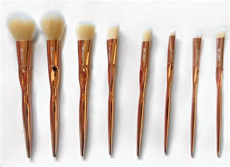 De Lanci Pro Rose Gold Makeup Brush Set Terri Talks