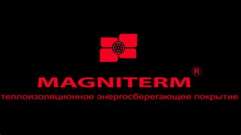 Магнитерм мнение эксперта - YouTube