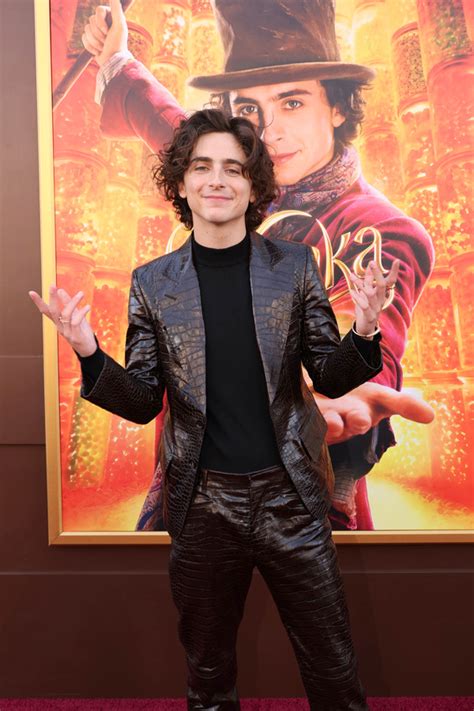 Timothée Chalamet In Tom Ford At The Wonka Los Angeles Premiere Tom