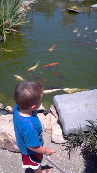 Rainbow Garden Nursery, Glendora, CA, Gardens - MapQuest