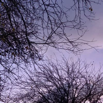 Downblousebabes On Twitter Down Her Leopard Bikini Downblouse My XXX Hot Girl