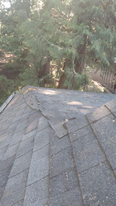 Just when you think you've seen every dumb thing a roofer can do. : r