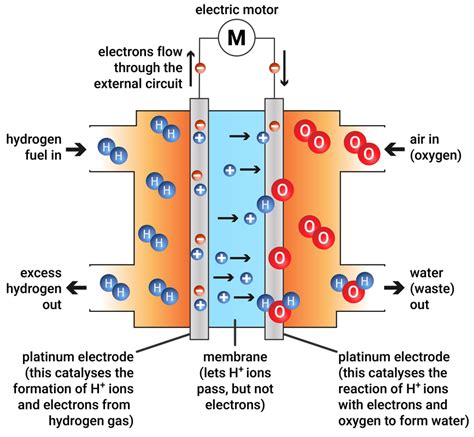 Solid Acid Fuel Cell Diagram Nist Nif Ecosdeltorbes