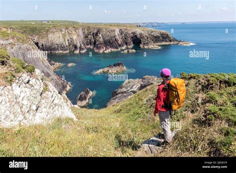 Pembrokeshire Coast On The Coast Path Near Porthclais Wales Uk Stock