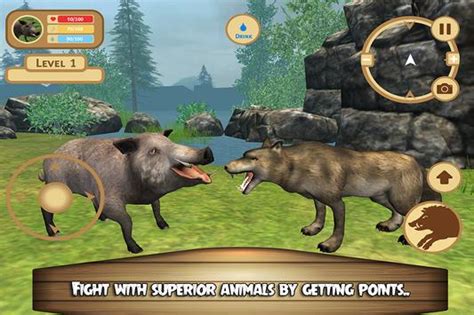 Extreme Wild Boar Simulator 3D APK للاندرويد تنزيل