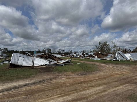 Hurricane Helene Causes Billions in Ag Damage - Farm Policy News