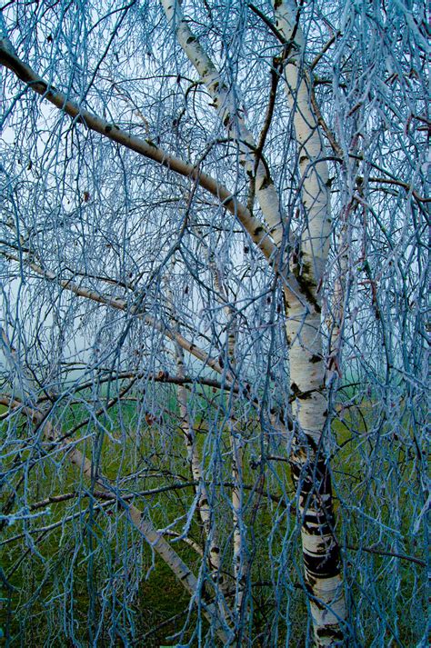 Dsc5521 03012020 Asenham Krokodilfelsen Sebastian Werba Flickr