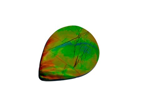 Aa Gem Grade Ammolite Gemstone — Ammolite Canada