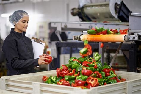 Industrie Agroalimentaire Quels Sont Les M Tiers Qui Recrutent Le Plus