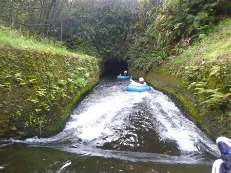 Горные трубы. | Пикабу