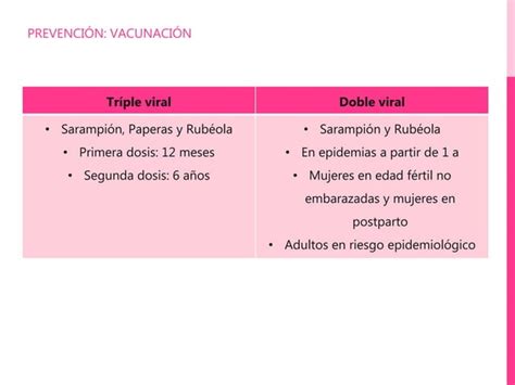 Enfermedades Exantem Ticas Ppt