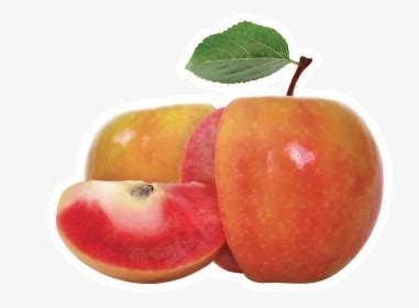 Lucy Glo Apple, HD Png Download , Transparent Png Image - PNGitem