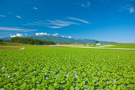 「八ヶ岳」の写真素材 12297件の無料イラスト画像 Adobe Stock