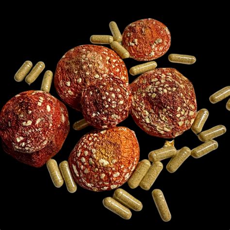 Медичний Канабіс та Лікувальні Гриби