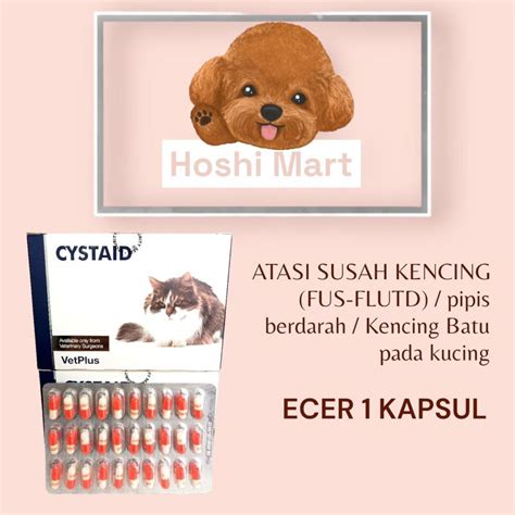 Jual Cystaid Cat Plus For Urinary Tract Gangguan Kencing Kucing Flutd