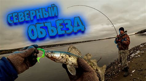 СЕВЕРНЫЙ ОБЪЕЗД / ЛОВЛЯ СУДАКА / РЫБАЛКА В НОВОСИБИРСКЕ. - YouTube