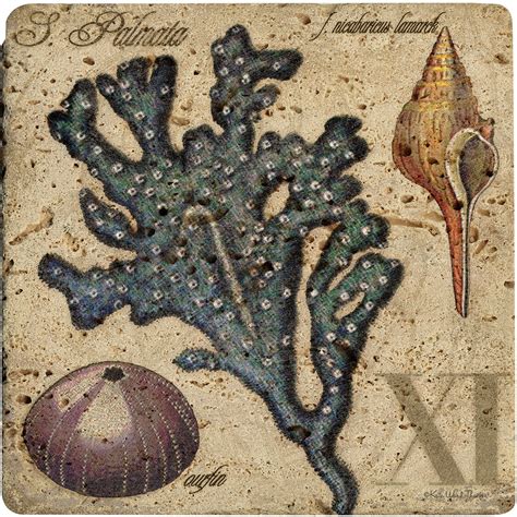 Thirstystone Ambiance Trivet Sea Life XI Travertine Walmart