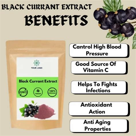 spray dried fruit powder cranberry extract powder manufacturer