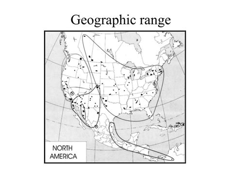 life history  longevity powerpoint