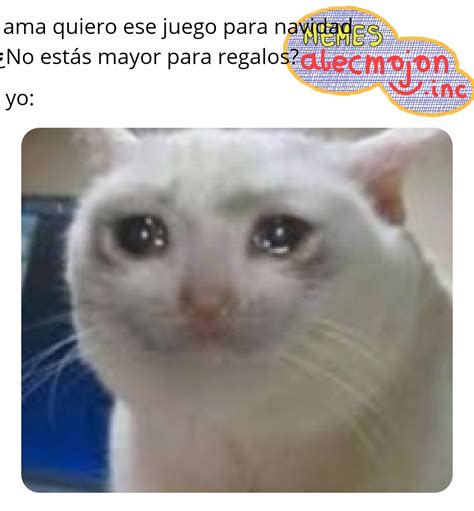 Los Mejores Memes De Gatos Llorando NBKomputer