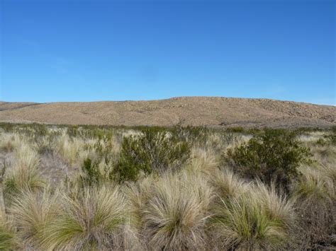 Foto Parque Nacional Lihué Calel Lihué Calel La Pampa Argentina