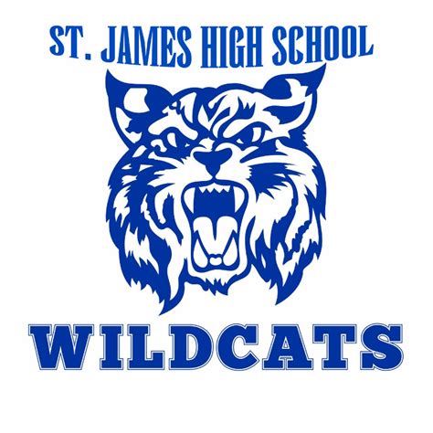 St James High School Alexandria La African American High Schools