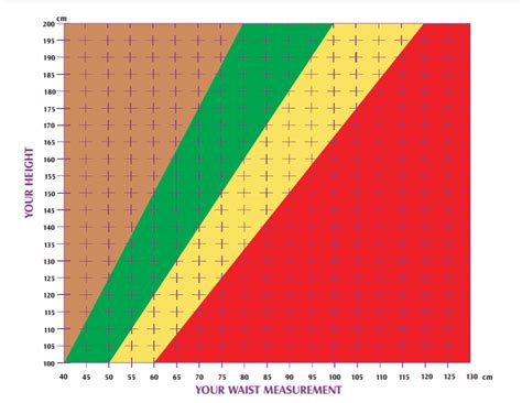 Waist To Height Ratio Calculator