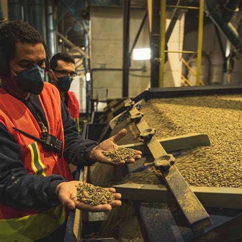 San Antonio Coop Coffee Farm | 88 Graines Green Bean Coffee importer