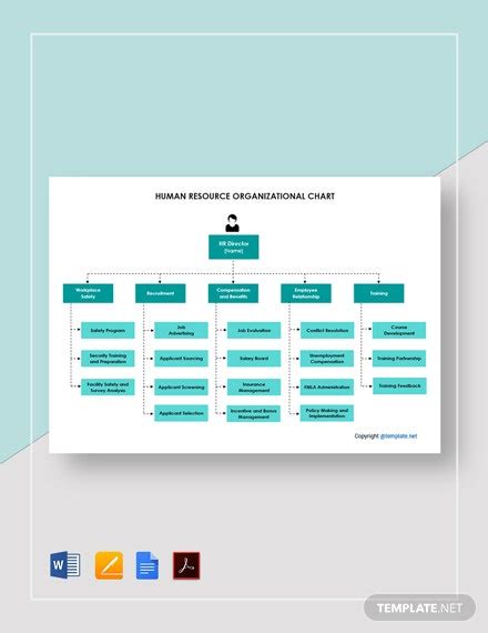 FREE Human Resource Organizational Chart Word - Template Download | Template.net