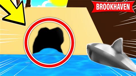 GEHEIME SECRETS Im NEUEN 2024 UPDATE In Brookhaven Roblox