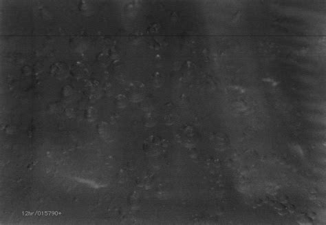 015790+.jpg [1/1] (12hr) : r/12hr