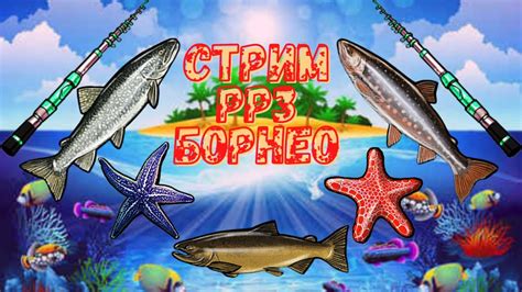 Стрим Русская Рыбалка 3. СТРИМЧИК НА ЧАСИК ДРУГОЙ. #рр3 # ...