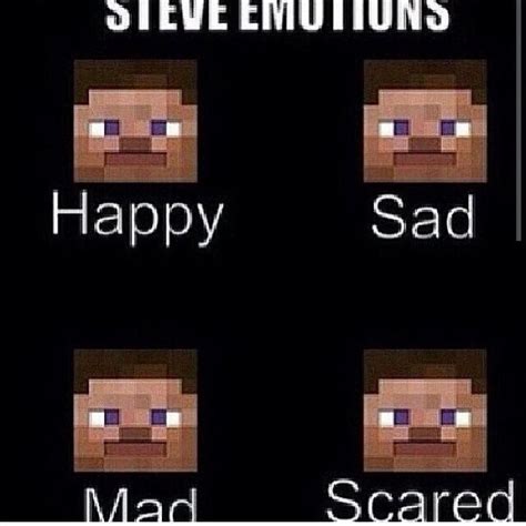 Steve Emotions Minecraft Funny Minecraft Memes Minecraft